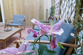 cosmopolitan boutique rambla