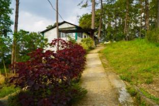 shillong