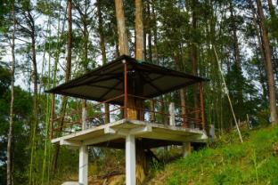 shillong