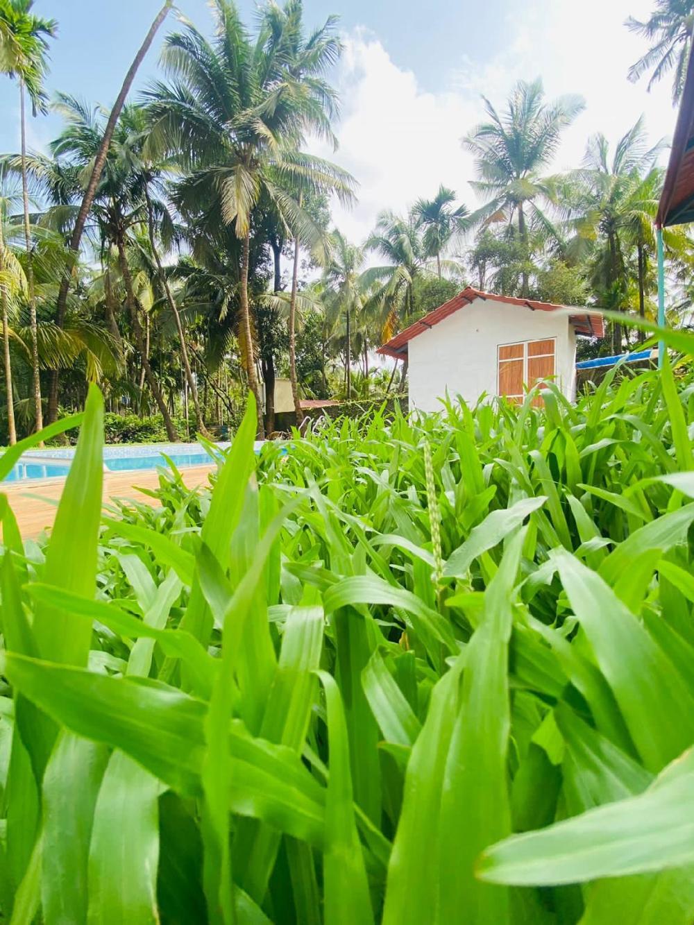 ilif 2702 butterfly resort and farms