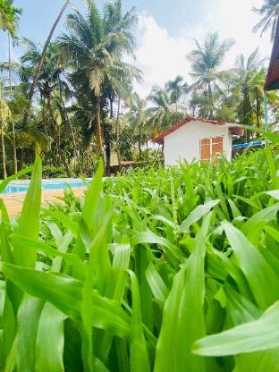 ilif 2702 butterfly resort and farms