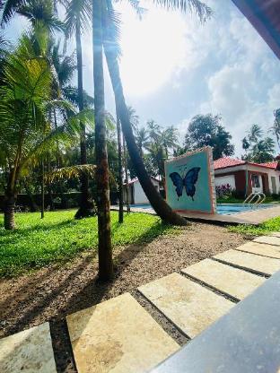 ilif 2702 butterfly resort and farms