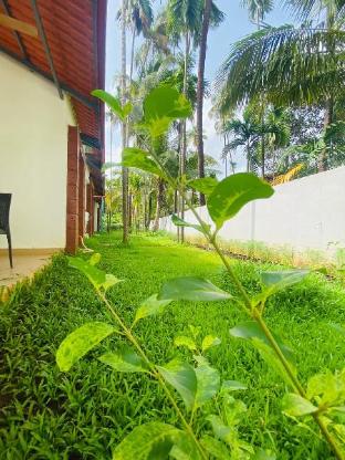 ilif 2702 butterfly resort and farms