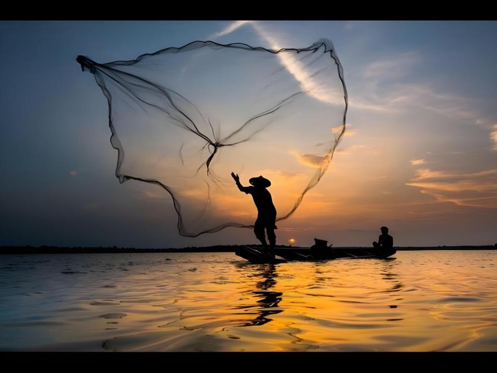 ilif 2702 butterfly resort and farms