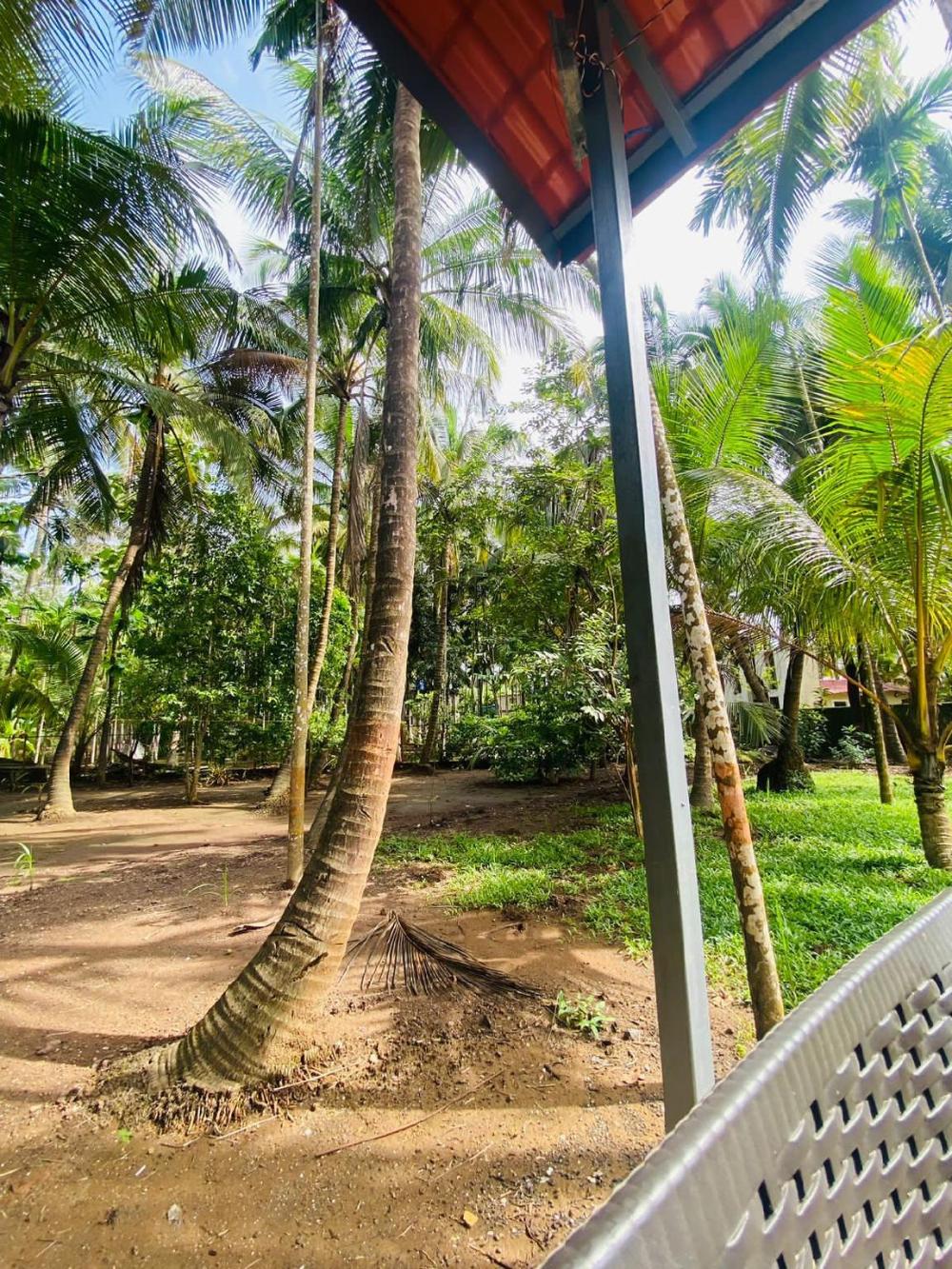 ilif 2702 butterfly resort and farms