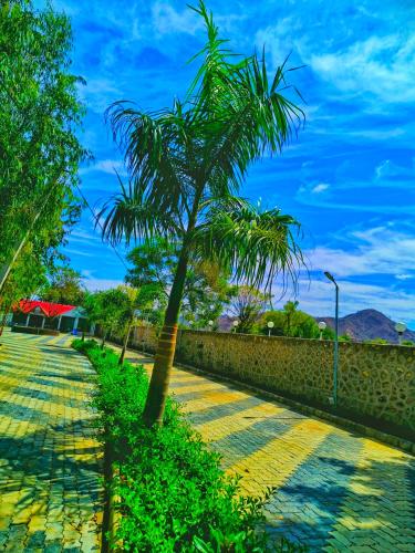 joy villa and resort