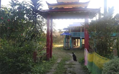 the leo homestay cottage by stayapart buxa