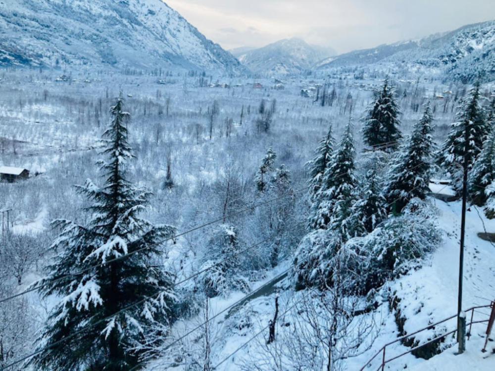 hotel snow crest residency