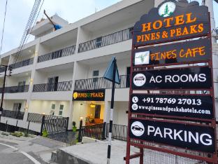 hotel pines and peaks dalhousie