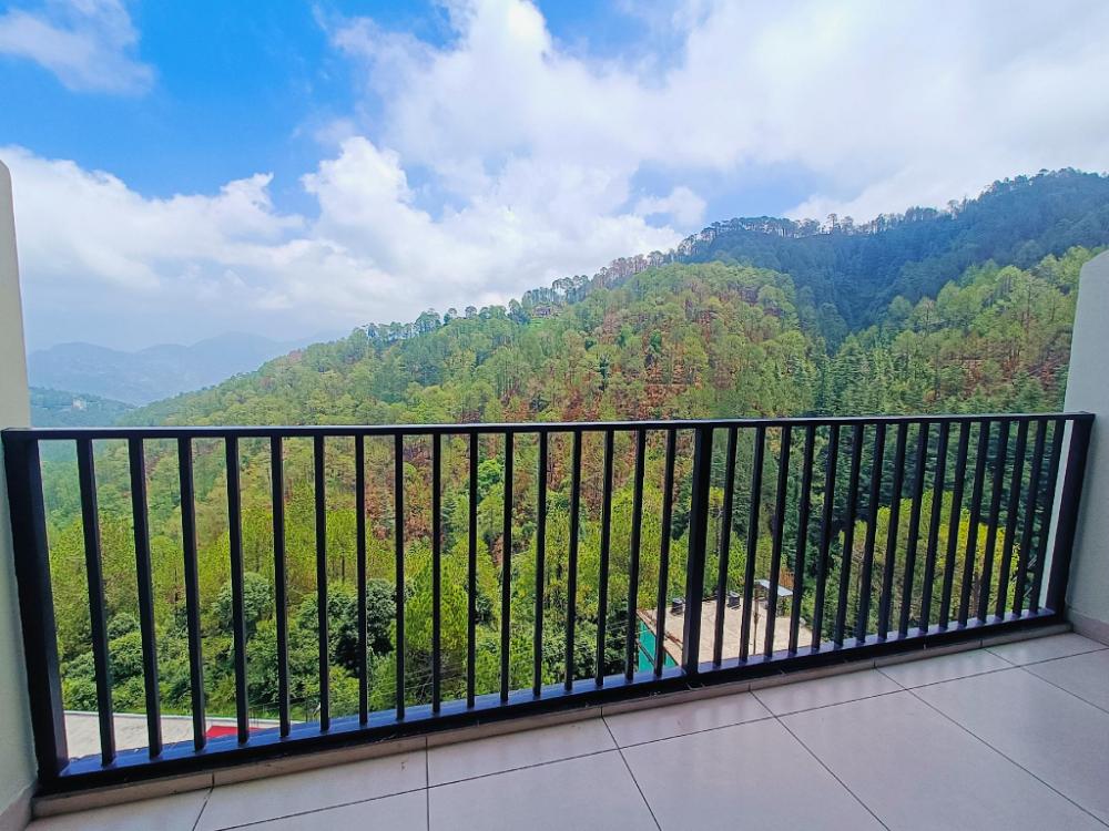 hotel pines and peaks dalhousie