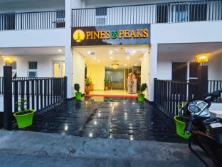 hotel pines and peaks dalhousie