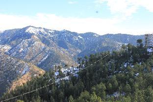 silverpine apartment and homestay