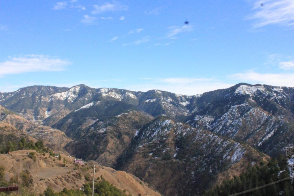 silverpine apartment and homestay