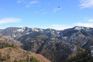 silverpine apartment and homestay