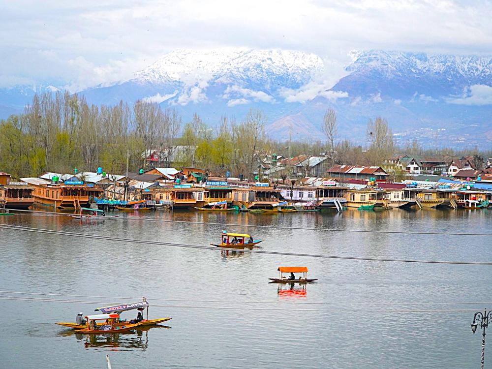 hotel lake view kashmir