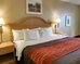 quality inn and suites malvern