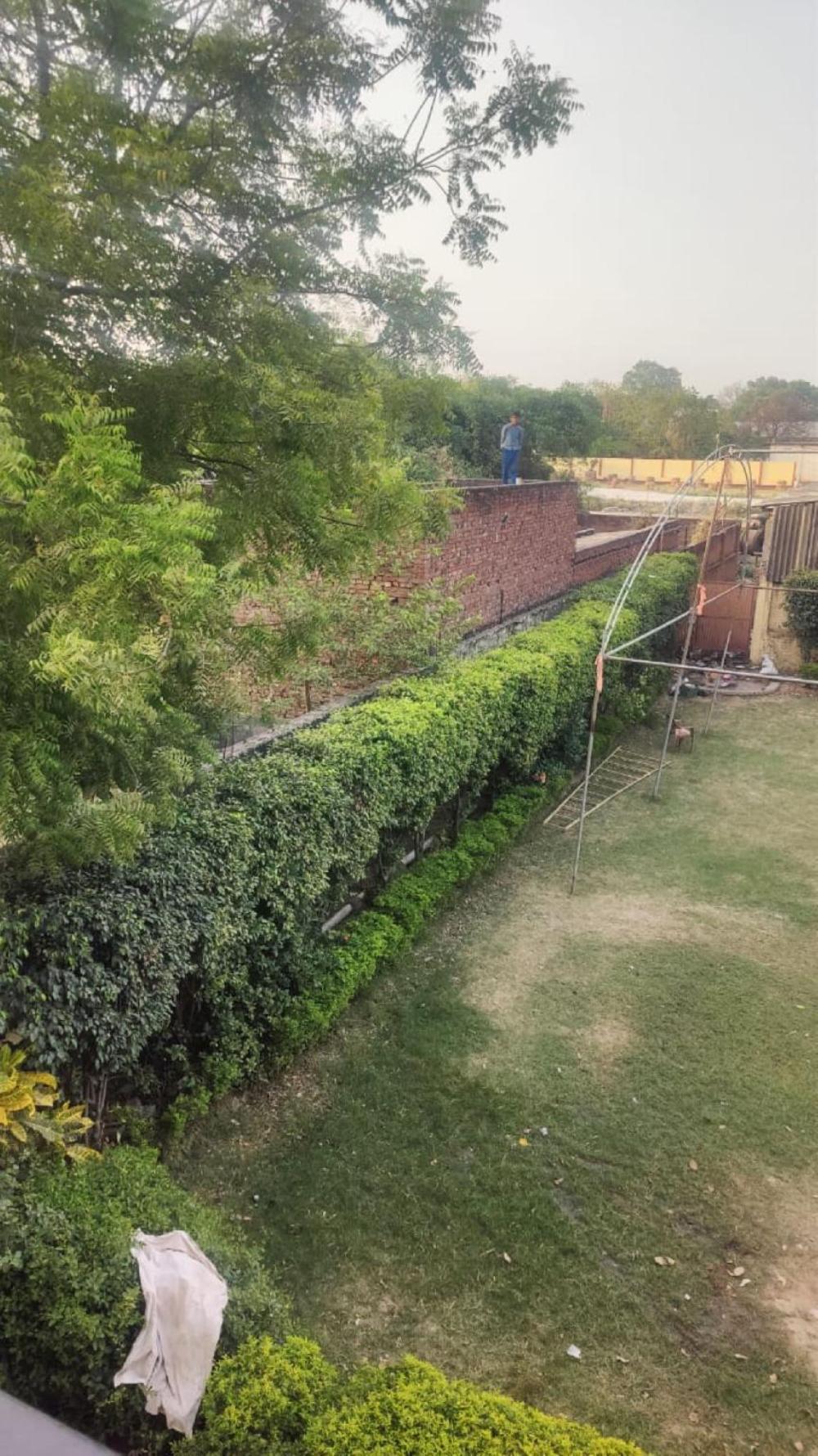 green park