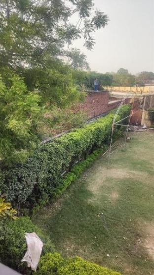 green park