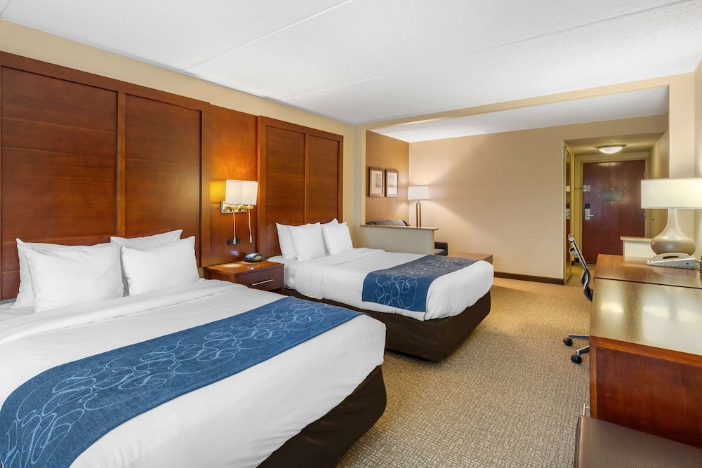 comfort suites manassas battlefield park