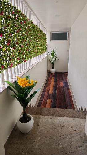 dnyanprabha executive