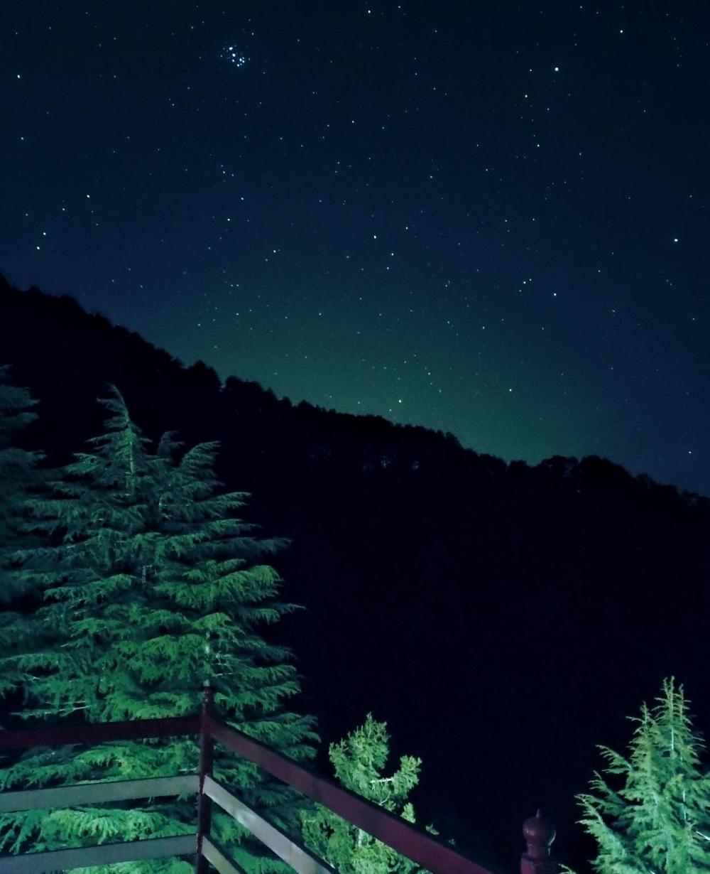 hotel nature joint