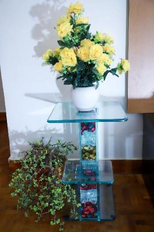 divine india service apartment 3bhk e28 saket 1b