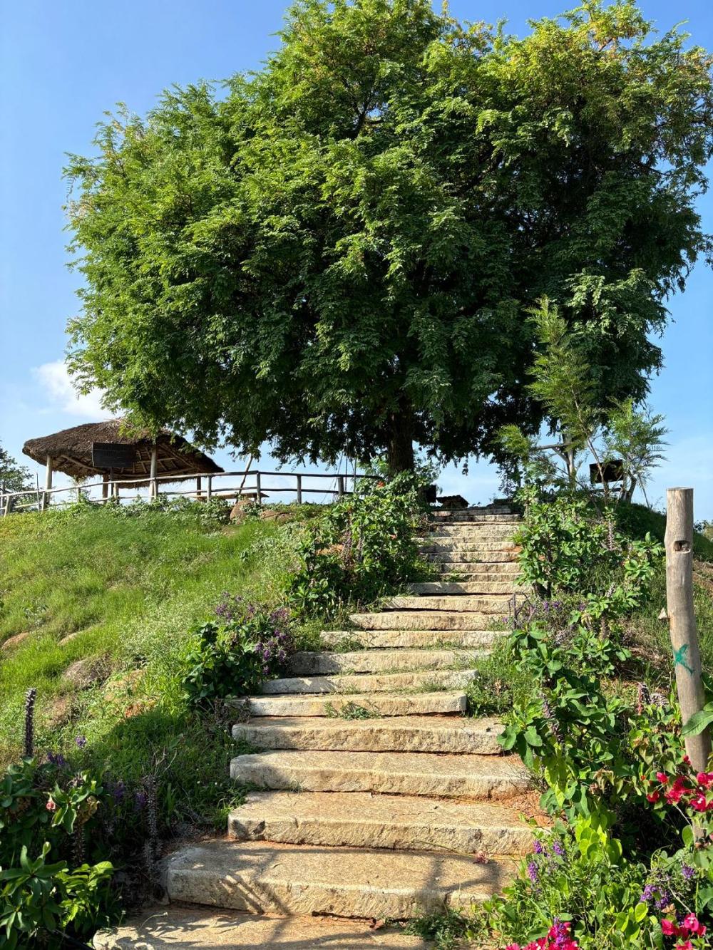 meenakshi lakehouse of m
