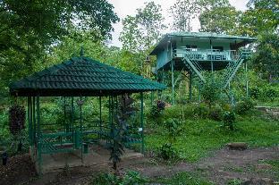 vanatheeram resorts kattikulam tholppety wayanad