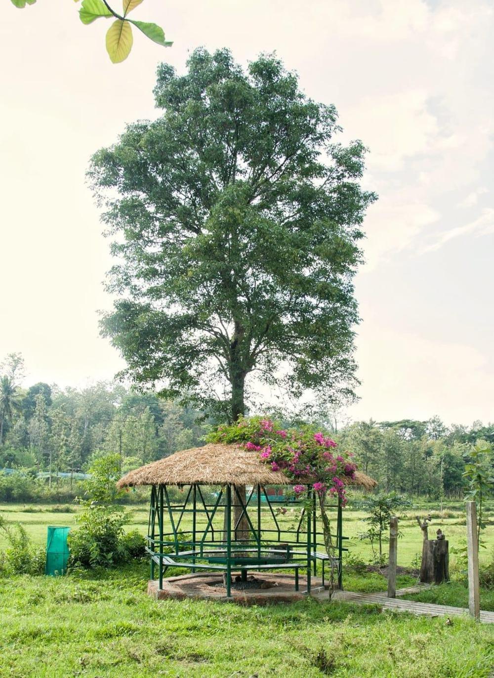 vanatheeram resorts kattikulam tholppety wayanad