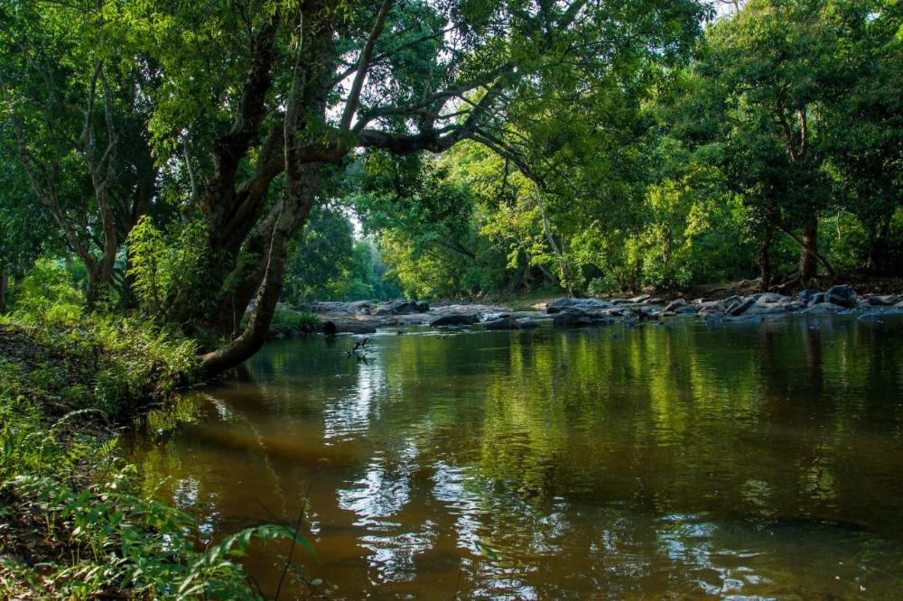 vanatheeram resorts kattikulam tholppety wayanad
