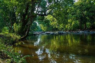 vanatheeram resorts kattikulam tholppety wayanad