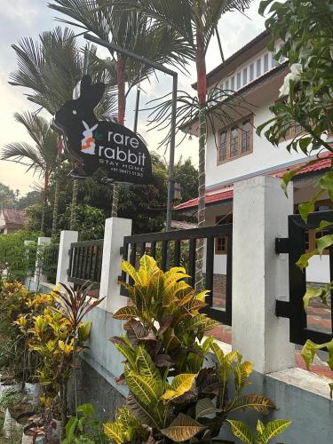 rare rabbit munnar