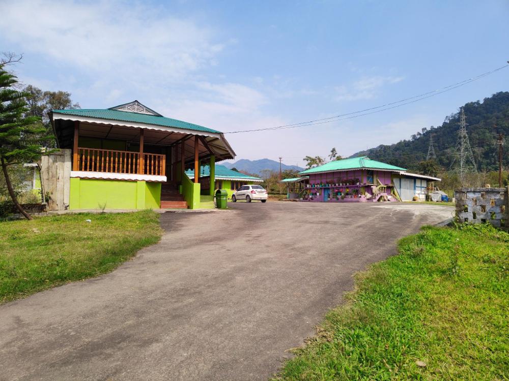 ninashi homestay