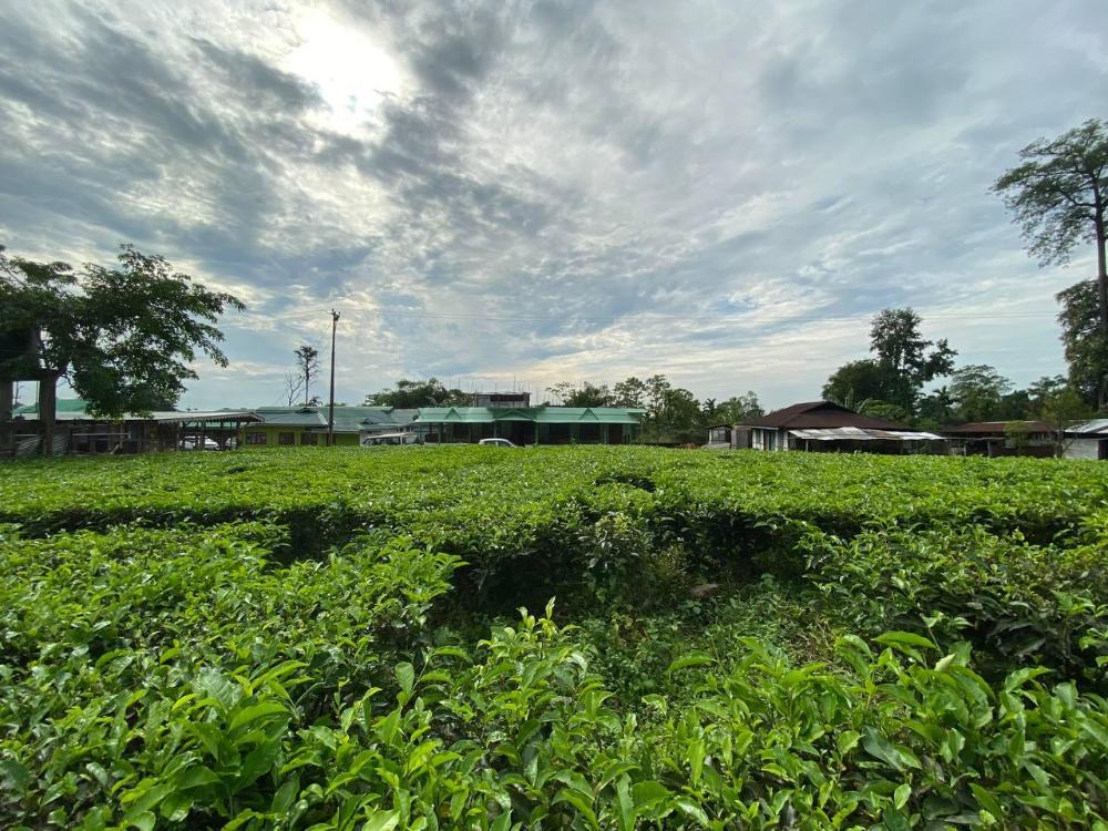 ninashi homestay