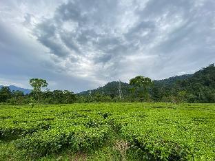 ninashi homestay