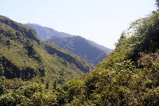 aashvi inn
