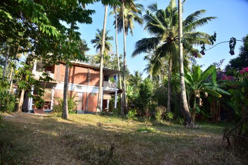 doctors ayurveda heritage