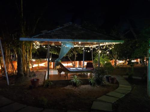 doctors ayurveda heritage