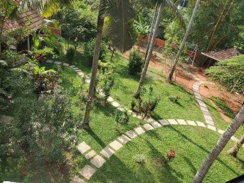 doctors ayurveda heritage