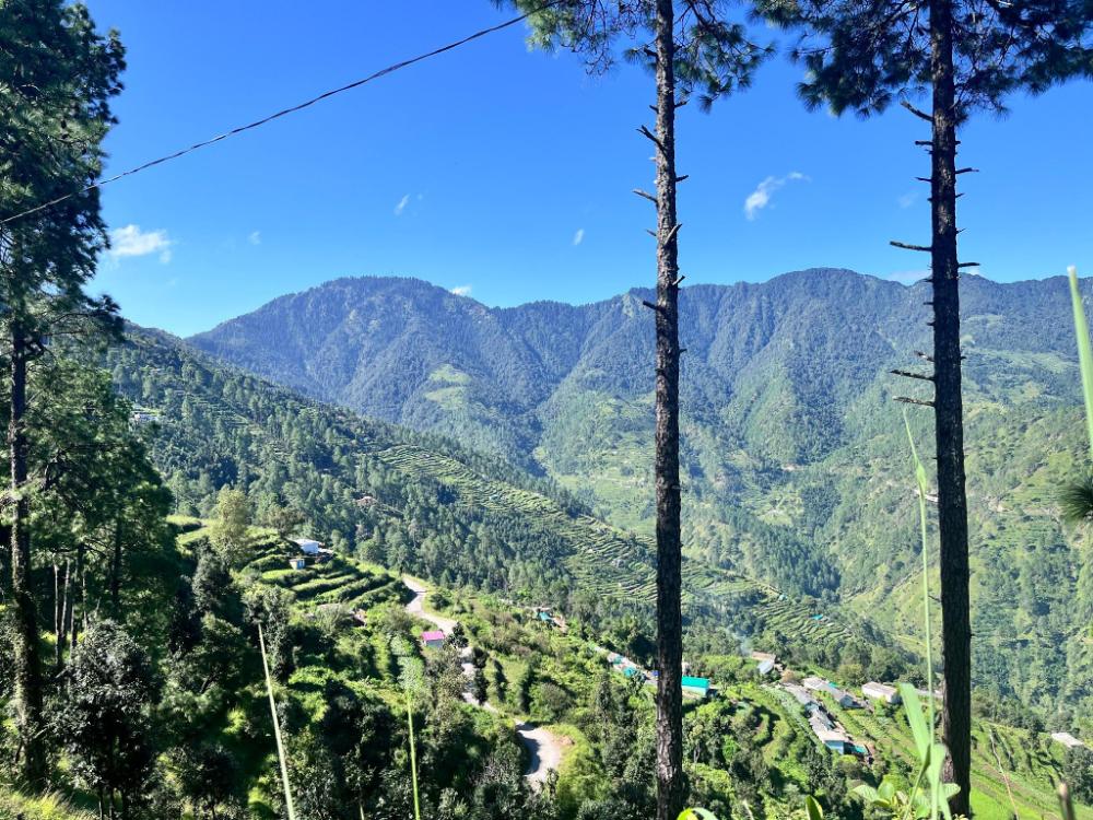 himalayan hill top resort