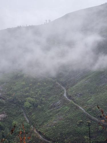 kodai hill crest kodaikanal