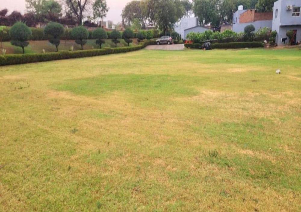 the swastik hotel and resort