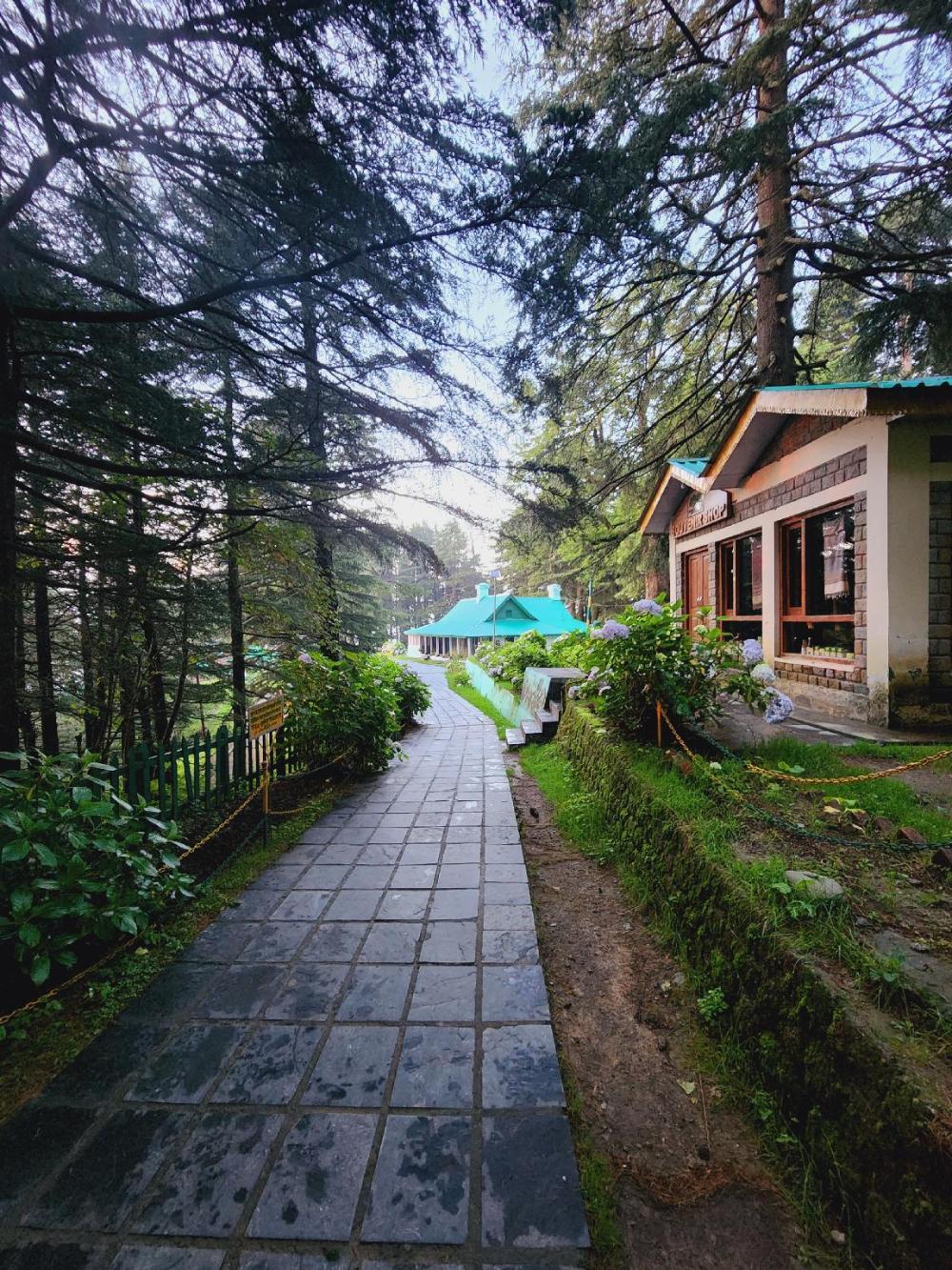 smarthill kalatop natures heaven