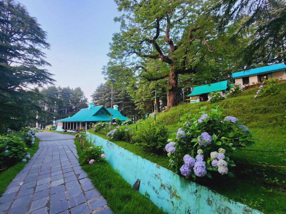 smarthill kalatop natures heaven