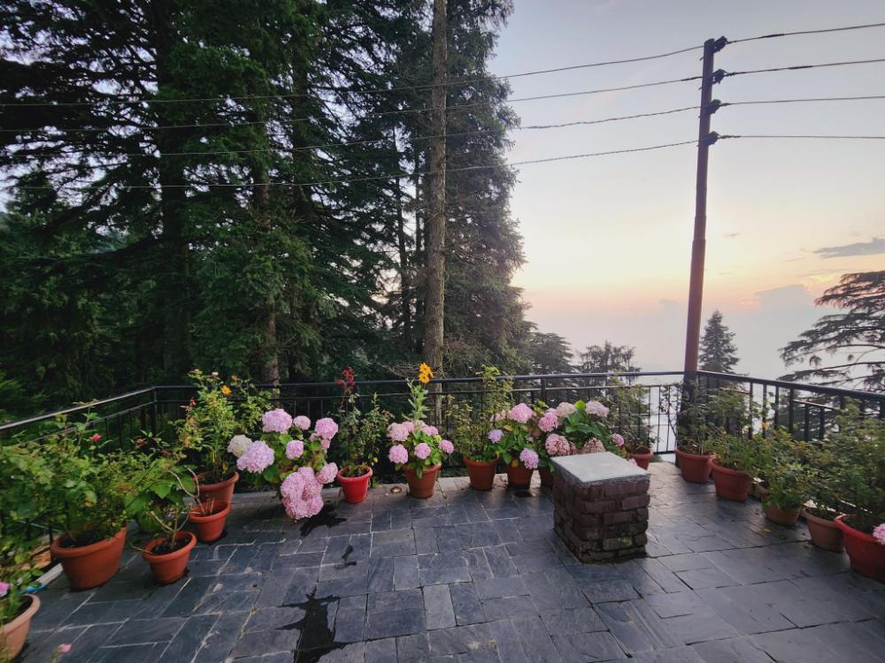 smarthill kalatop natures heaven