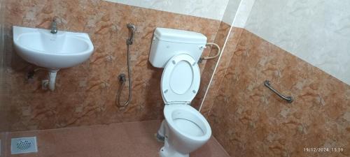 ayyans park inn by k hotels