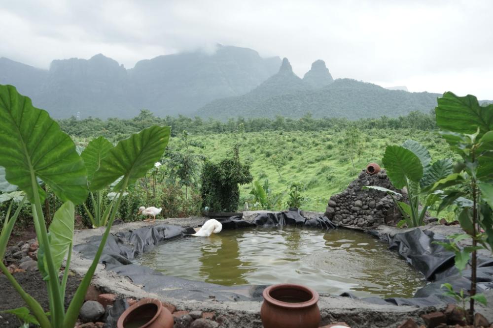 the nature house agro farm murbad