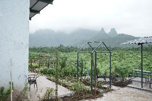 the nature house agro farm murbad