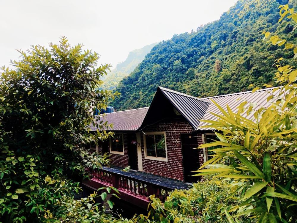 zeiv hermitage natures symphony