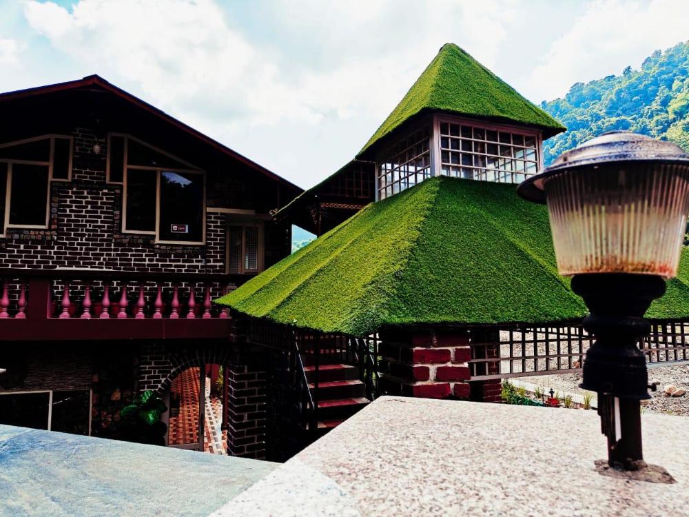 zeiv hermitage natures symphony